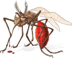 robaki w domu, zwalczanie prusakow, zwalczanie karaluchow, pest control, dezynsekcja warszawa, metoda zelowa