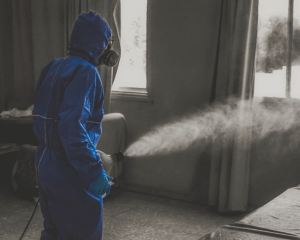 Odporność pluskiew domowych na środki owadobójcze